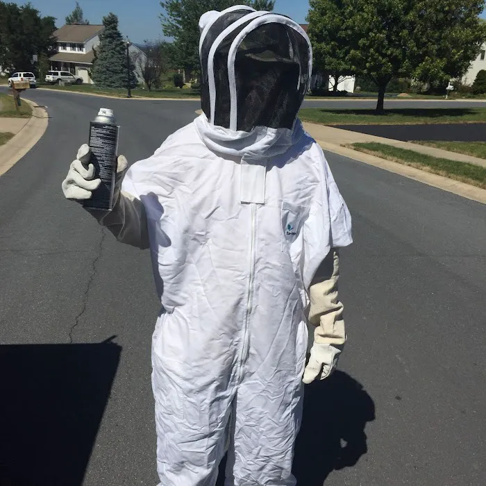 Genesis Termite and Pest Control Picture 8
