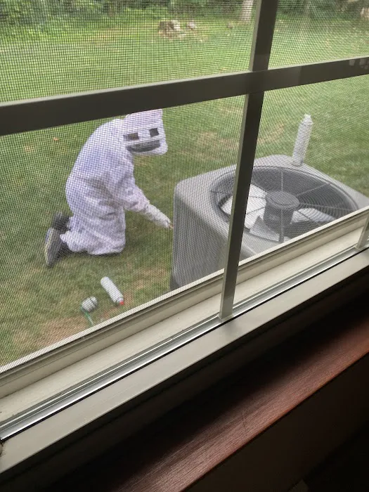 Genesis Termite and Pest Control Picture 3