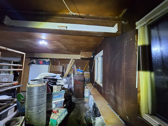 Fox Pest Control Picture 10