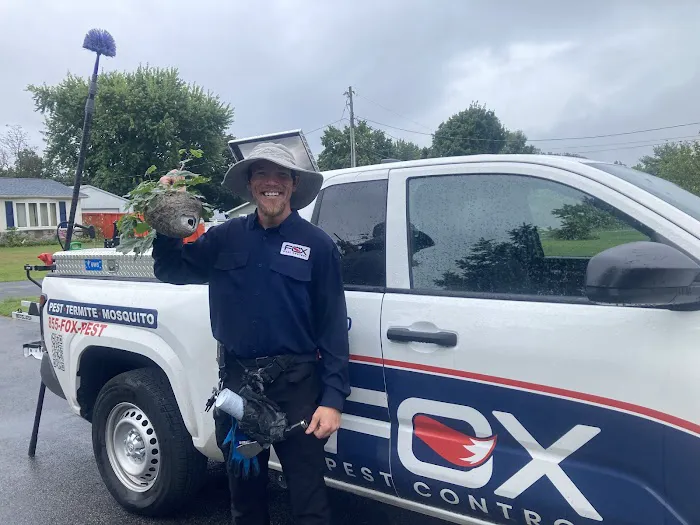 Fox Pest Control Picture 4
