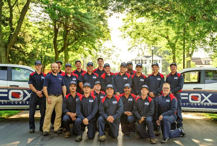 Fox Pest Control Picture 2