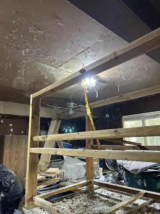 Fox Pest Control Picture 1