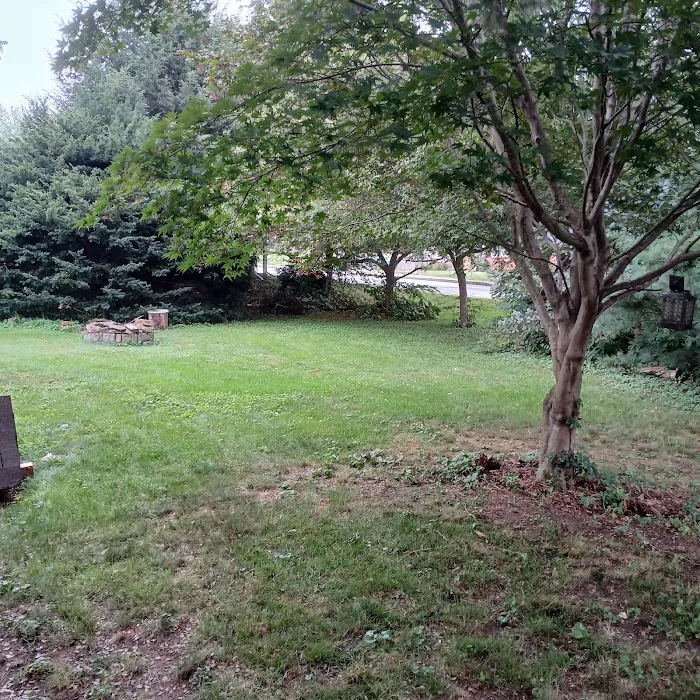Fox Pest Control Picture 6