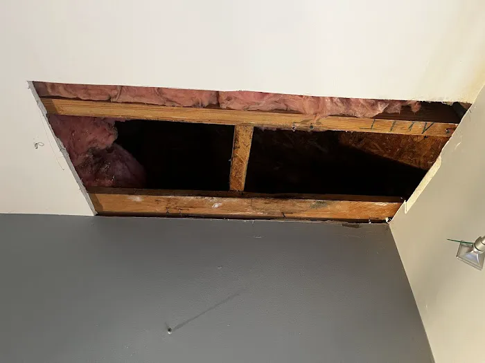 Akita Pest Control Picture 5