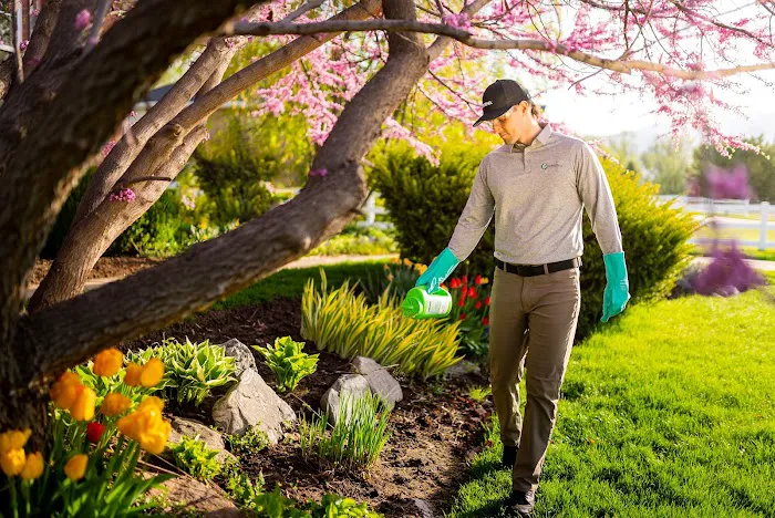Greenix Pest Control Picture 10