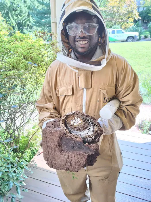 Greenix Pest Control Picture 9