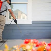 Greenix Pest Control ico