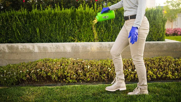 Greenix Pest Control Picture 7