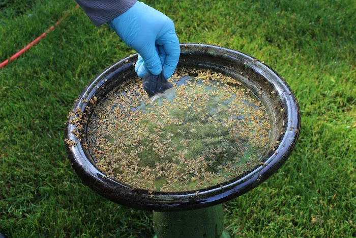 Tomlinson Bomberger Pest Control Picture 3