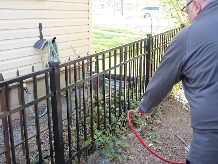 Rowe Pest Control Picture 8