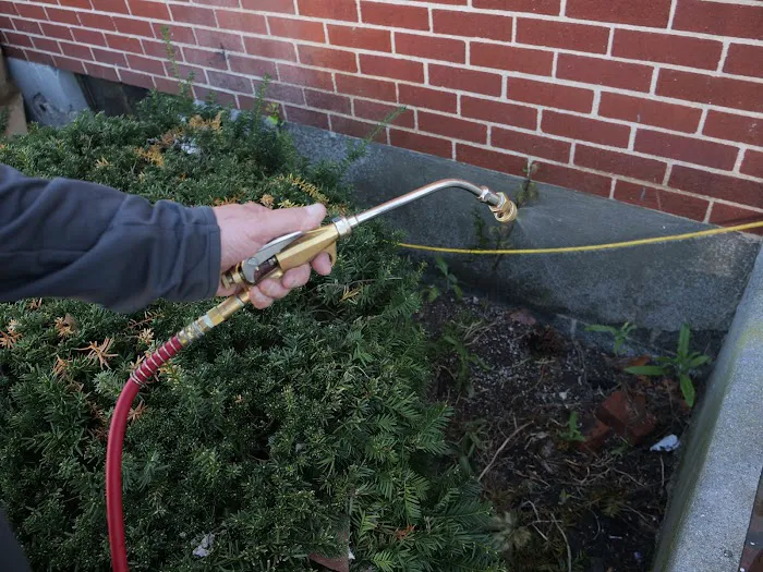 Rowe Pest Control Picture 2