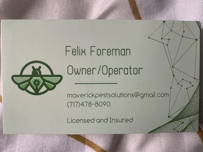 Maverick Pest Solutions Picture 5