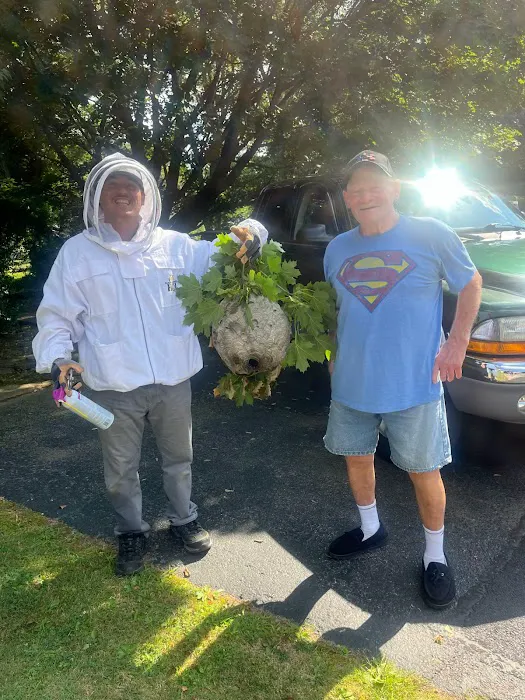 Maverick Pest Solutions Picture 8
