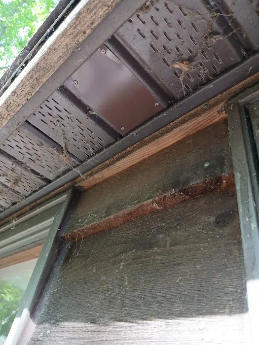 Just Wildlife and Bees LLC Picture 2