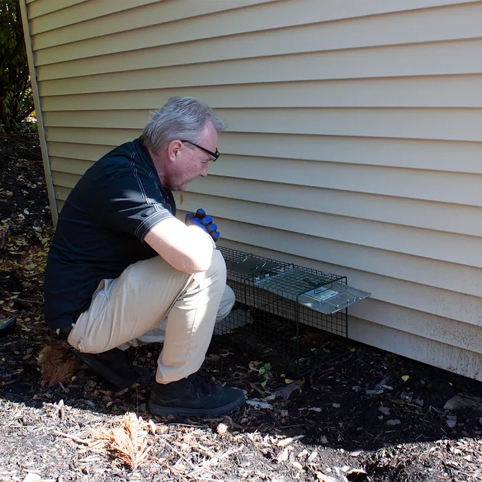 DeAngelo Pest Control Picture 6