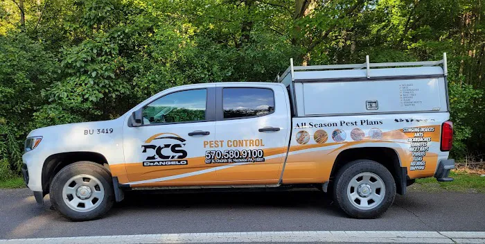 DeAngelo Pest Control Picture 2