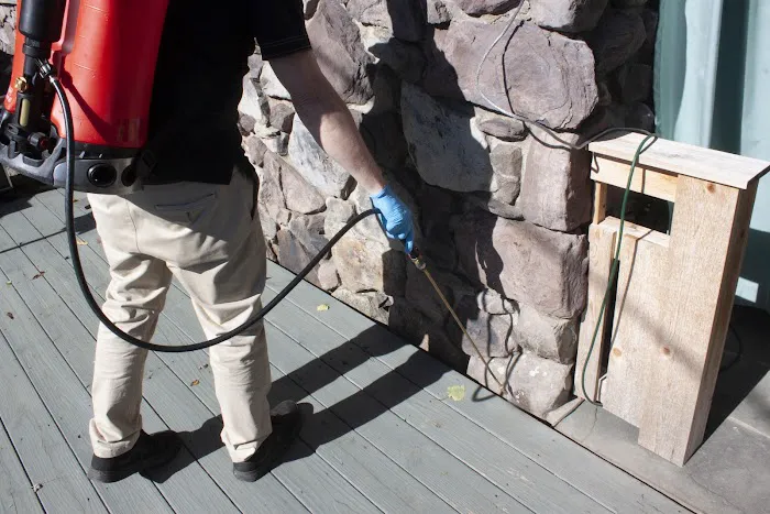 DeAngelo Pest Control Picture 5