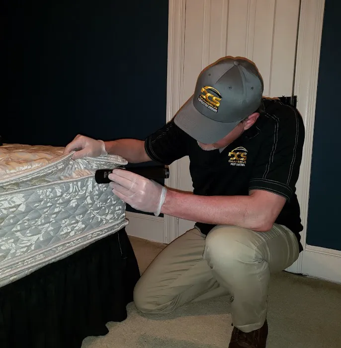 DeAngelo Pest Control Picture 3