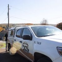 DeAngelo Pest Control ico