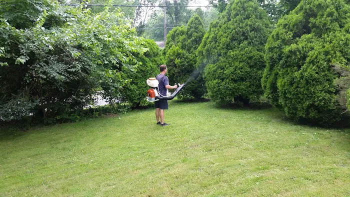 Mosquito Mob of Wilmington Delaware Picture 3