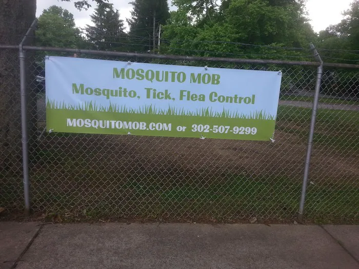 Mosquito Mob of Wilmington Delaware Picture 2