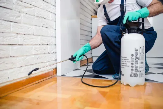 Brownco Termite & Pest Control Picture 1