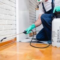 Brownco Termite & Pest Control ico