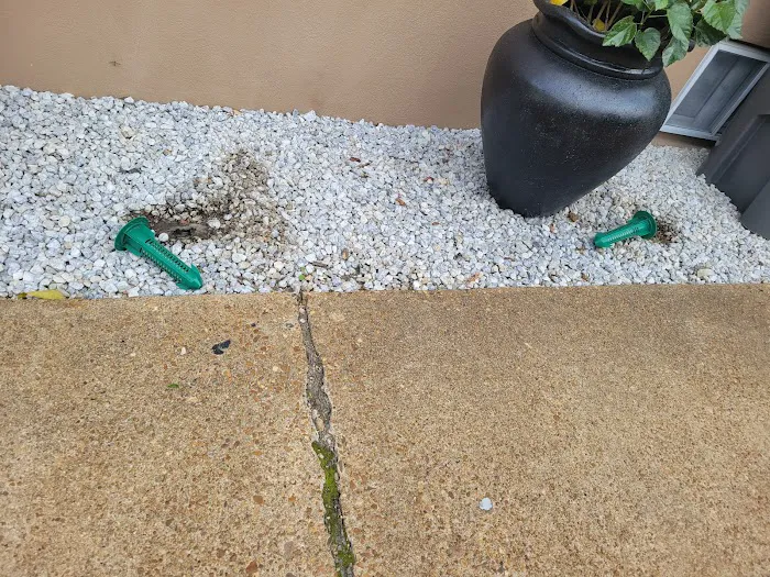 Green Pest Solutions Picture 1