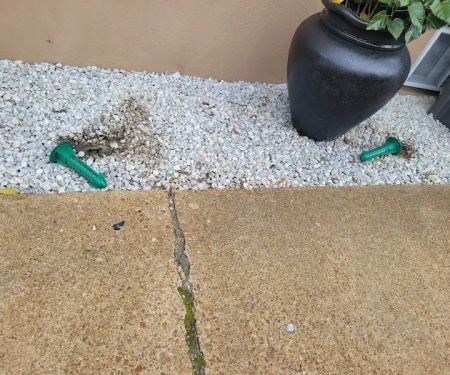 Green Pest Solutions