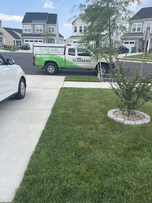 Greenix Pest Control Picture 4