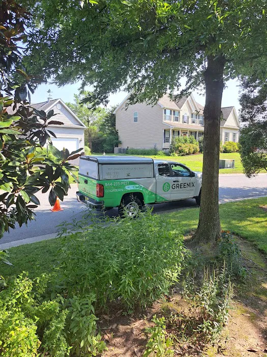 Greenix Pest Control Picture 5