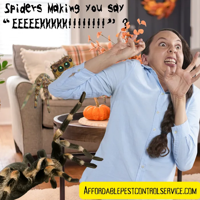 Affordable Pest Control Service Picture 5
