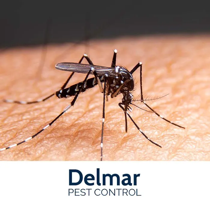 Delmar Pest Control Picture 3