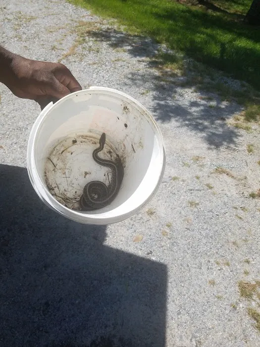 Delmar Pest Control Picture 1