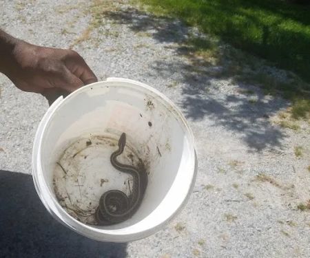 Delmar Pest Control