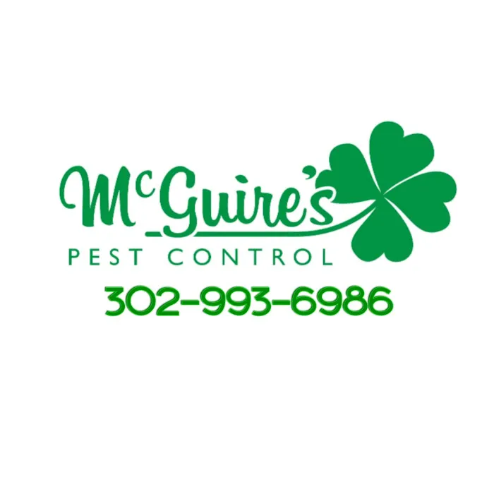 McGuires Pest Control Picture 3