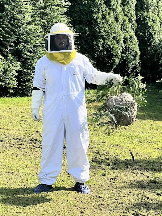 EcoShield Pest Solutions Picture 6