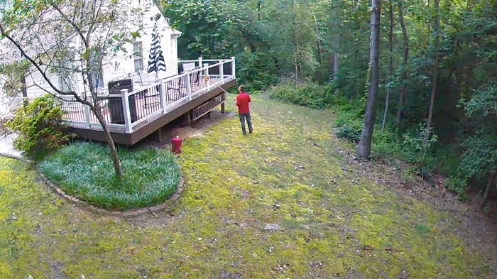 Frontline Pest Control Picture 10