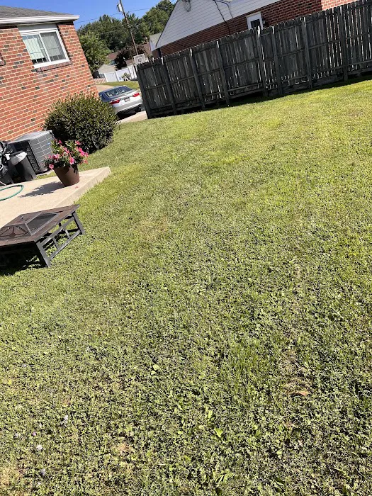 Aptive Pest Control Picture 10