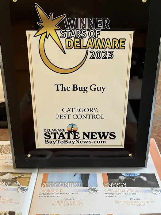 The Bug Guy Picture 8