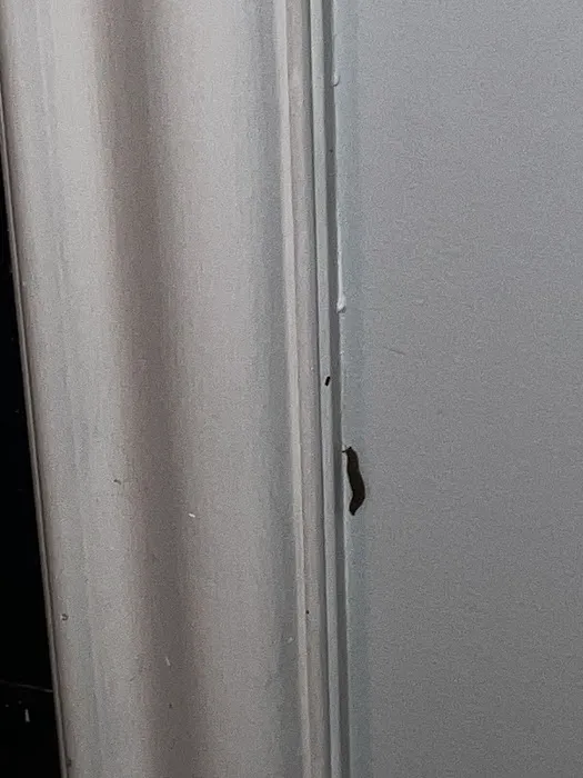 The Bug Guy Picture 2