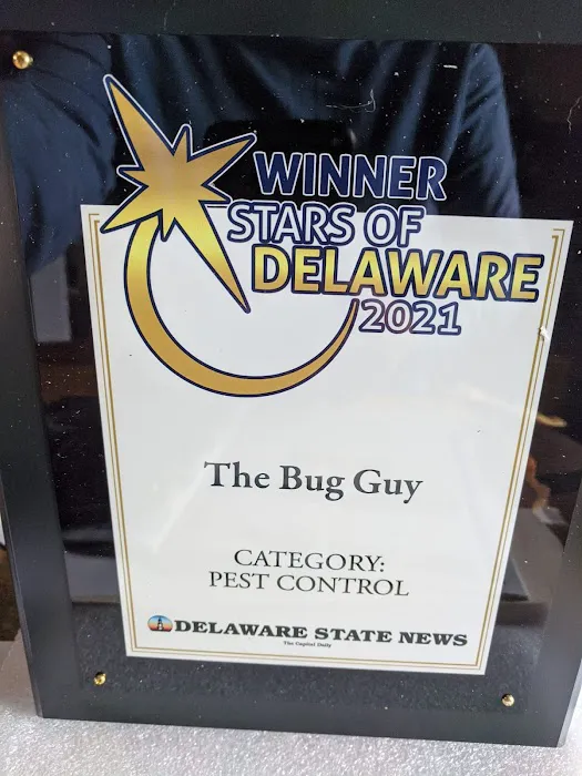 The Bug Guy Picture 6