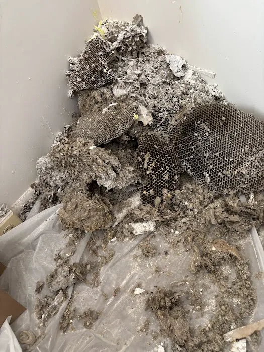 Optimum Pest Pros Picture 10