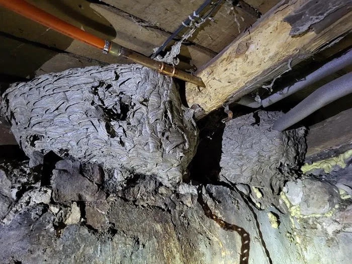 Optimum Pest Pros Picture 9