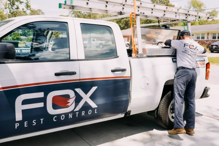 Fox Pest Control Rochester Picture 7