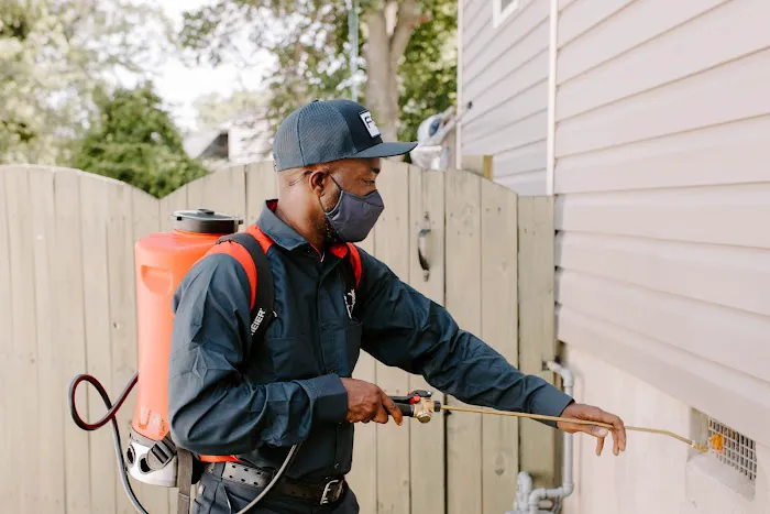 Fox Pest Control Rochester Picture 6