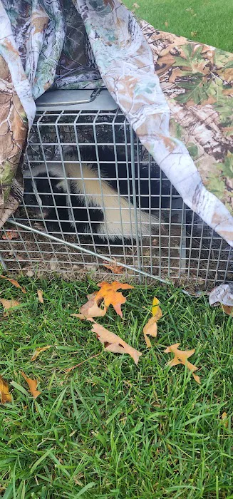 Pierson Nuisance Wildlife Removal LLC Picture 4