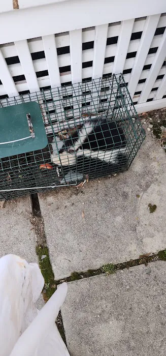 Pierson Nuisance Wildlife Removal LLC Picture 8