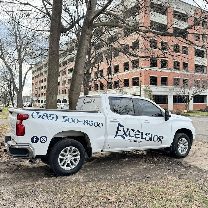 Excelsior Pest Group Picture 6