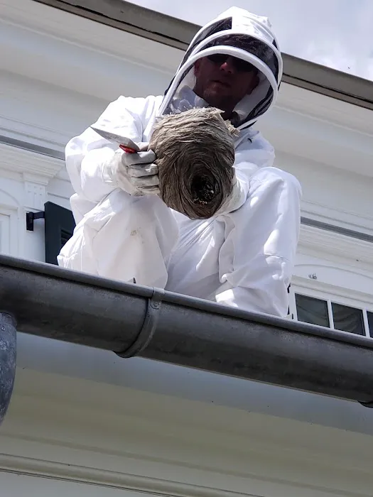 Rochester Pest Pro Picture 1